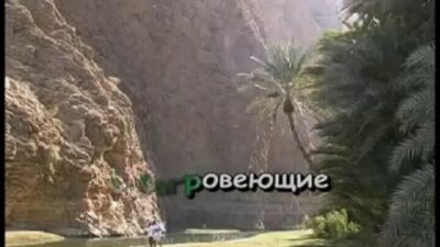 «Волохатий джміль» (караоке)