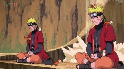 Naruto, sezon 2, odcinek 164 (Kroniki huraganów, dubbing: Ancord)