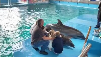 El nuevo espectáculo «El legado» en el delfinario de Naberezhnye Chelny