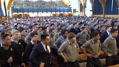 La danza haka. Non spaventatevi! Si tratta di un antico rituale di rispetto in Nuova Zelanda!