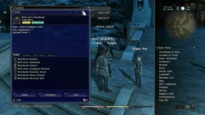 Final Fantasy XIV. Critique
