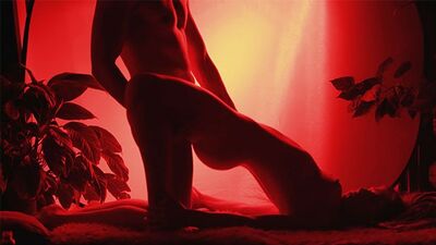 Sensual Silhouette Porn