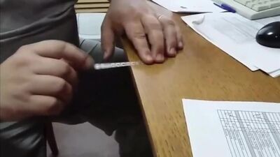 Marsz cesarski na patyczku