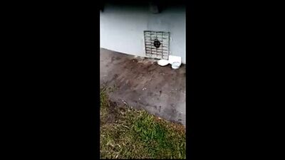 Vidéo de « Typical Penza »