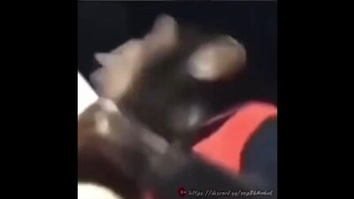 [meme di cowbelly] Il negozio del barbiere della scimmia