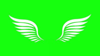 ANIMATE WINGS (Animacja skrzydeł) Chroma key do intro.mp4