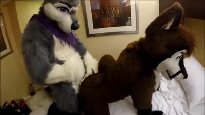 Sonhos Furry Gays 24