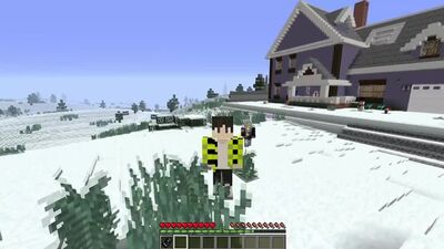 [Naisik Bro] WENN DU DIESE GRUSELIGE THOMAS-LOK IM HOF DEINES HAUSES SIEHST, LAUF SO SCHNELL DU KANNST! MINECRAFT THOMAS.EXE