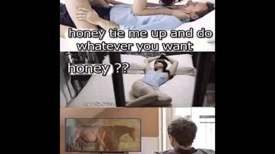 La bite du cheval