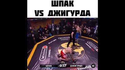 Shpak contra Zhigurda