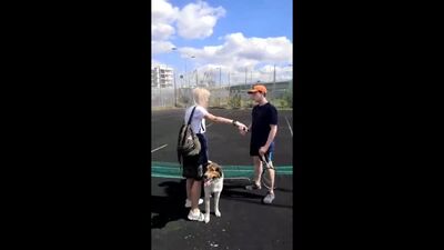 Je n'y comprends rien, mais c'est très intéressant