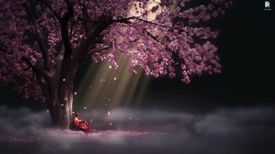 Samurai e sakura - papéis de parede animados para o Wallpaper Engine