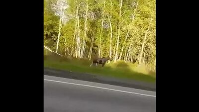 Video di Podslushano Serpukhov | Incidenti stradali ed emergenze