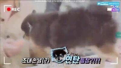 Yongtan? Chunguk? Taehen? – Wiguki e o seu bebé)
