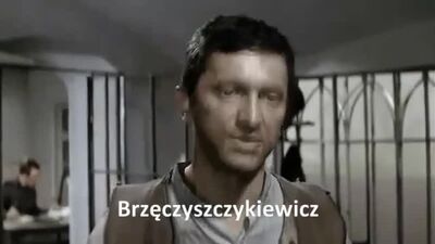 Grzegorz Brzenczyśkiewicz (MEMuaren, „Die Abenteuer des Kanoniers Dolas oder Wie ich den Zweiten Weltkrieg auslöste“)
