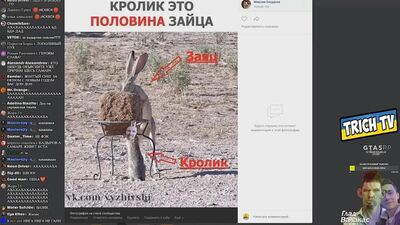 [Trich Tv] [Przegląd lup fotograficznych] Glad Valakas pokazał swoje prawdziwe zdjęcie