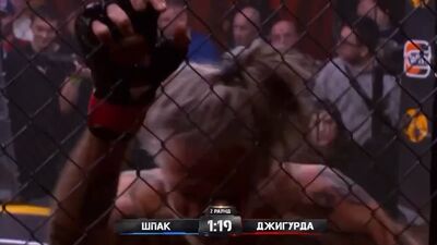 Jigorda contra Shpak