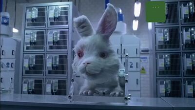 El conejo Ralph
