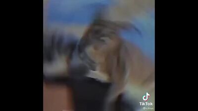 Біг Флоппа довів, що зазіхає на Біг Паппу