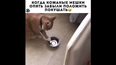 Video von „Yaponksky Boch“ – Sushi- und Pizzalieferung | Barnaul