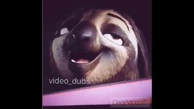 Zootopia / Błyskawiczna prędkość bez granic 2016