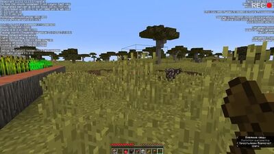 [Nikita Berg] Spiel die Platte Nr. 13 nicht rückwärts ab (Gruseliges Minecraft)