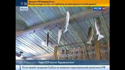 Жириновський у лазні з молодими хлопцями