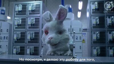 Le lapin de Ralph
