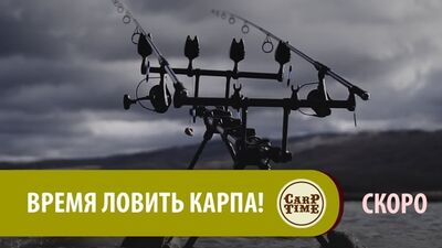 Карп аулауға уақыт келді