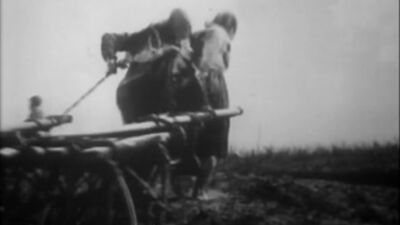 História da Rússia. Século XX. Filme 067. A formação do Estado Soviético. Parte 2. A coletivização