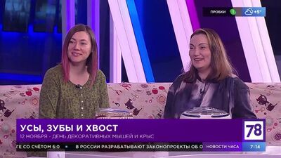 Dzień dobry – 12 listopada 2021 r