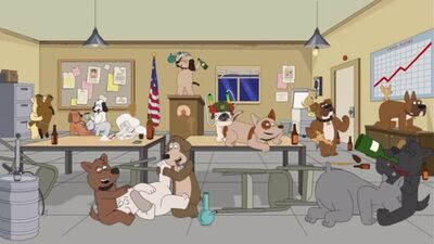 Polícia de Paradise. Festa dos cães