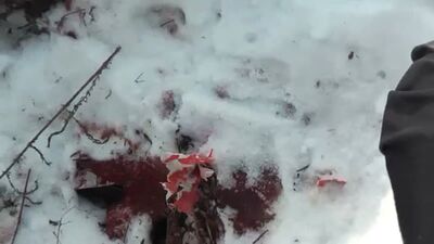 Жүкті әйелді өлтірді