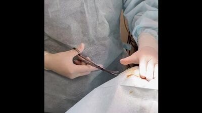 Vídeo de Vetdoktor — clínica veterinaria en Ekaterimburgo