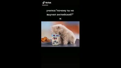 Я росіянин / мем / кошеня