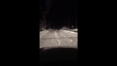 Video von „Typische Pechora“