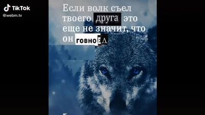 Citations du Loup sur TikTok (mèmes) - Le loup, ce n'est pas celui qui est un loup, mais celui qui se comporte comme un loup (mèmes sur le Loup) (720p)
