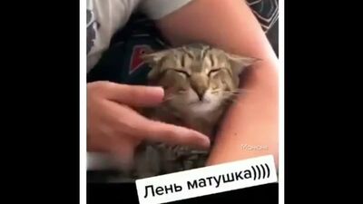 У нього гарний шкіряний раб)