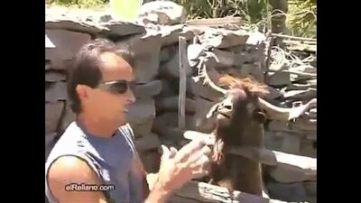 Una conversación típica con alguien de Daguestán)))