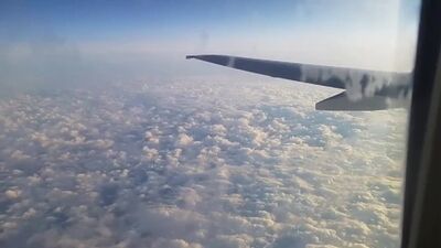 Fez um broche mesmo no avião (porno, incesto, foda, pornhub, milf, mãe, rata, sexo, porno, foda, maduras, puta, adora anal)
