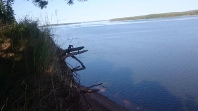 Кама өзені, Казанка (Шумиха өзенінің сағасы), төбеде, 2020 жылғы қыркүйек