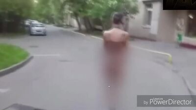 Webm Panin, cão, de Gufo