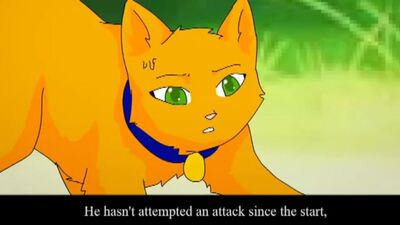 Gatos Guerreros: Conviértete en salvaje, serie 6