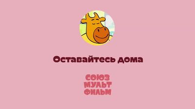 Pomarańczowa krowa. Porady na czas epidemii