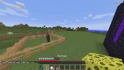 Жеңілген НУБ пен МУТАНТ ГАСТ MINECRAFT-та: Minecraft мультфильмінде нубты троллинг: нуб пен про жаңа