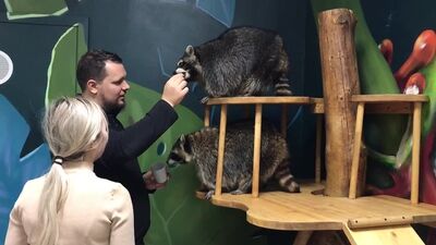 Imagens das visitas. Enotovil