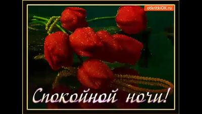 Відео від ПП «Стара Русса» ©