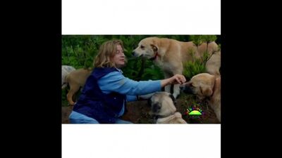 Vídeos personales | Hazal Filiz Küçükköse y otros actores se han pronunciado en apoyo de los animales sin hogar de todo el mundo