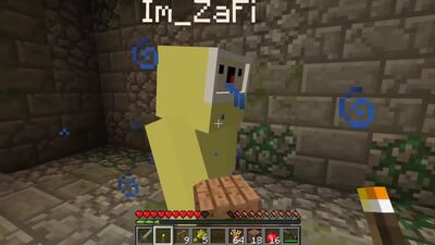 NUBIK I JEGO PROFESJONALISTA ODKRYLI BUNKR NA WYSPIE W MINECRAFT! PRZETRWANIE, TROLLING, PUŁAPKA, NUBIK I PROF