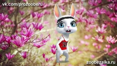 Eleganckie życzenia urodzinowe dla kobiety lub dziewczyny! Piękne życzenia ZOO_HIGH.mp4